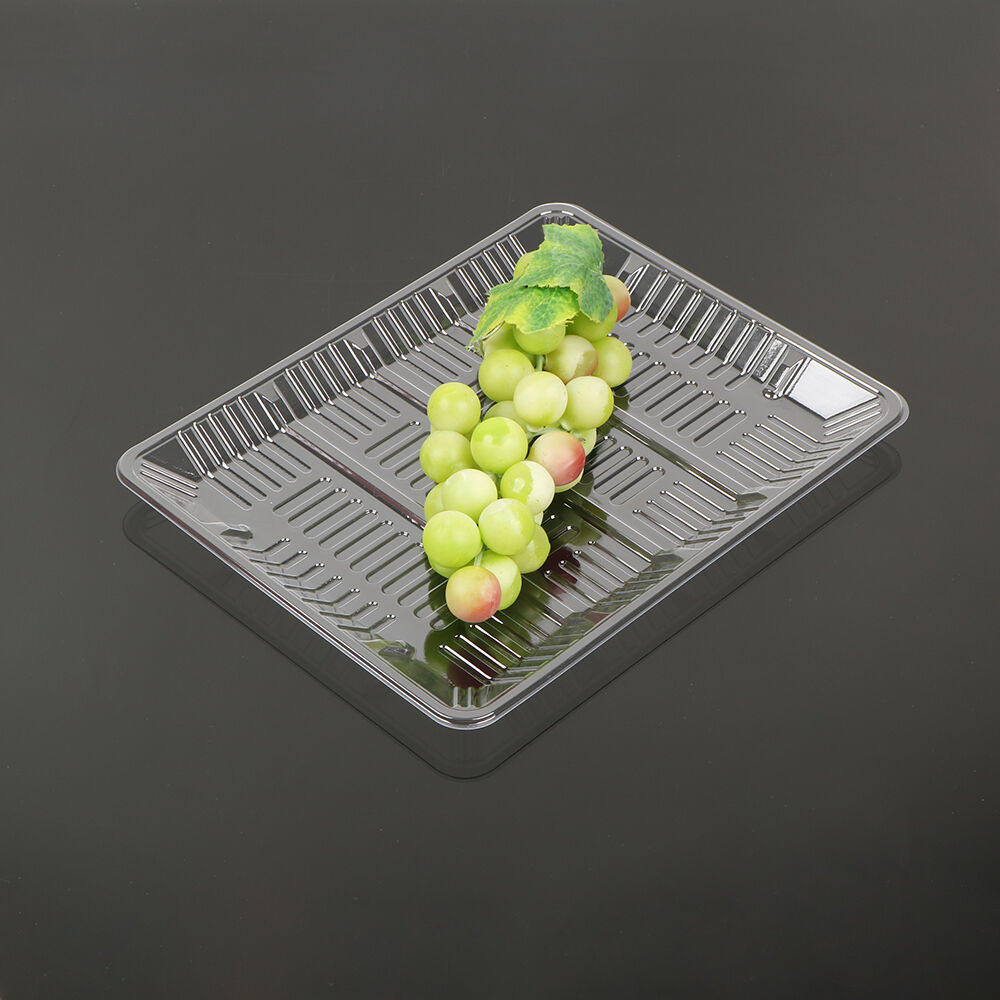 2621 Fresh Food Tray supplier