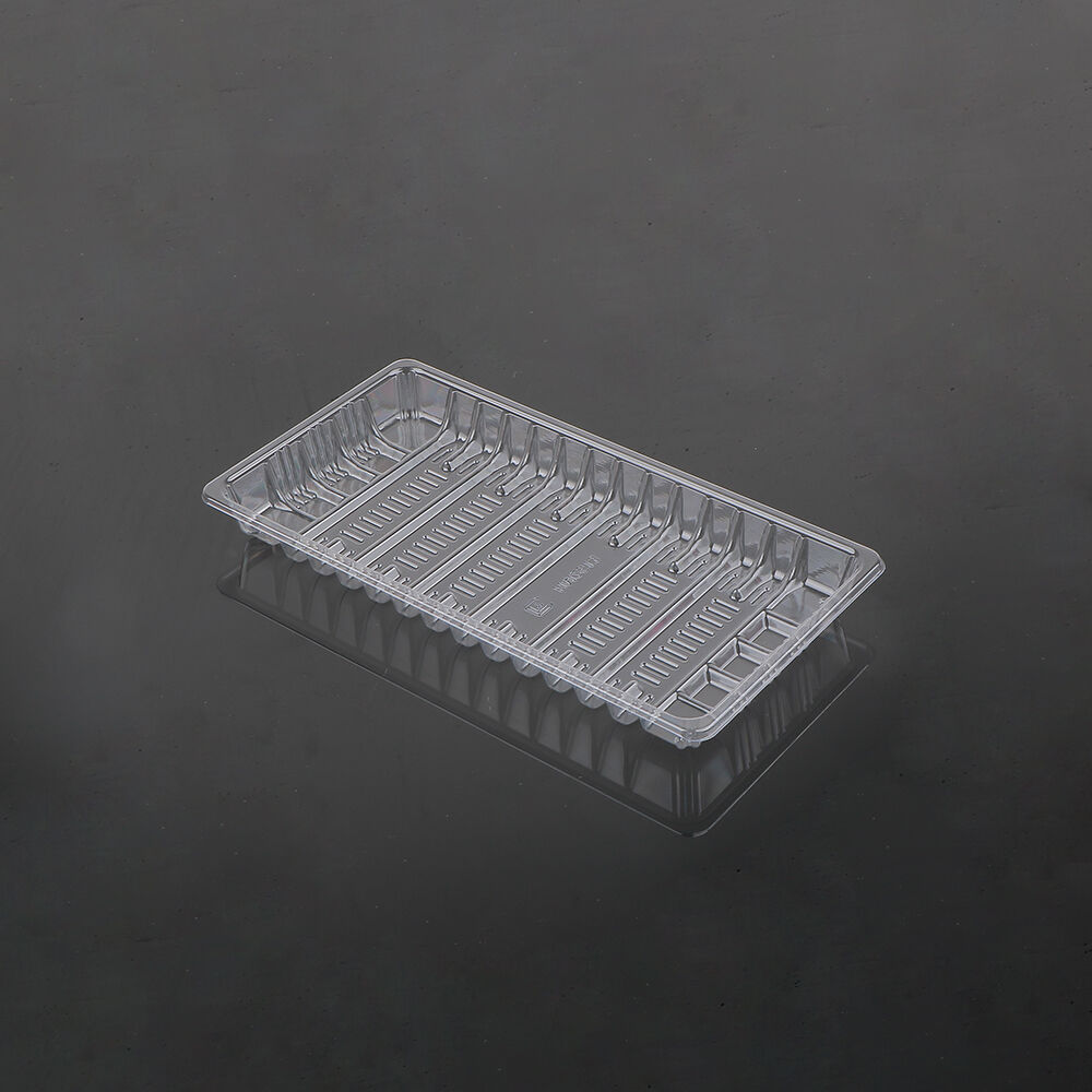 2513 Fresh Food Tray details