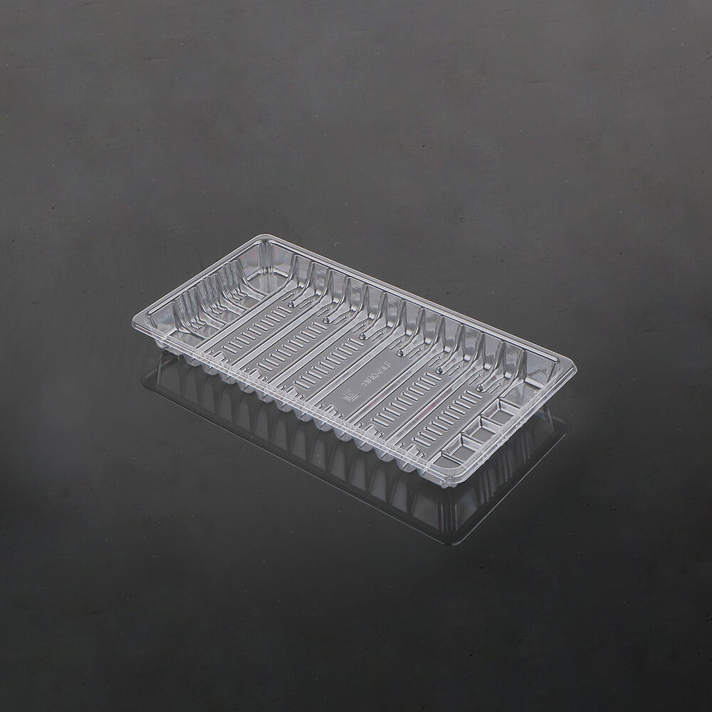 2513 Fresh Food Tray