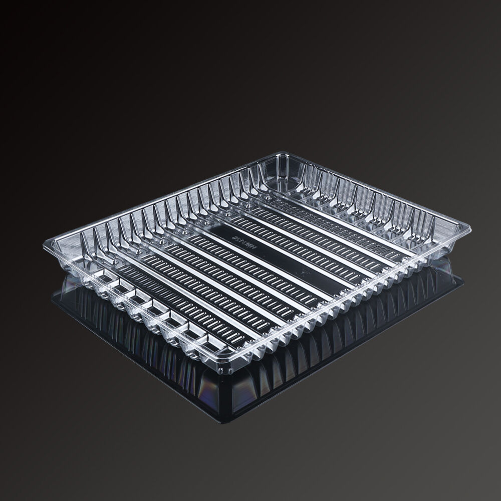 3126 Fresh Food Tray