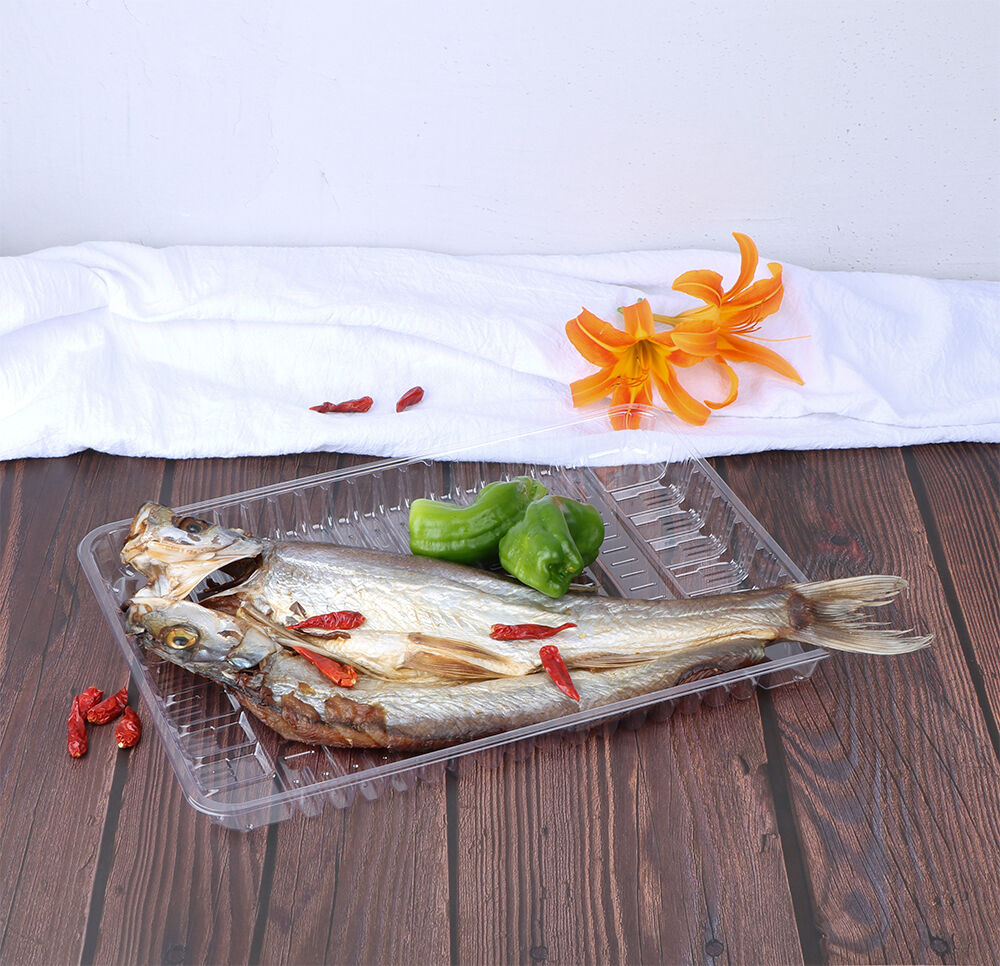 3525 Fresh Food Tray details