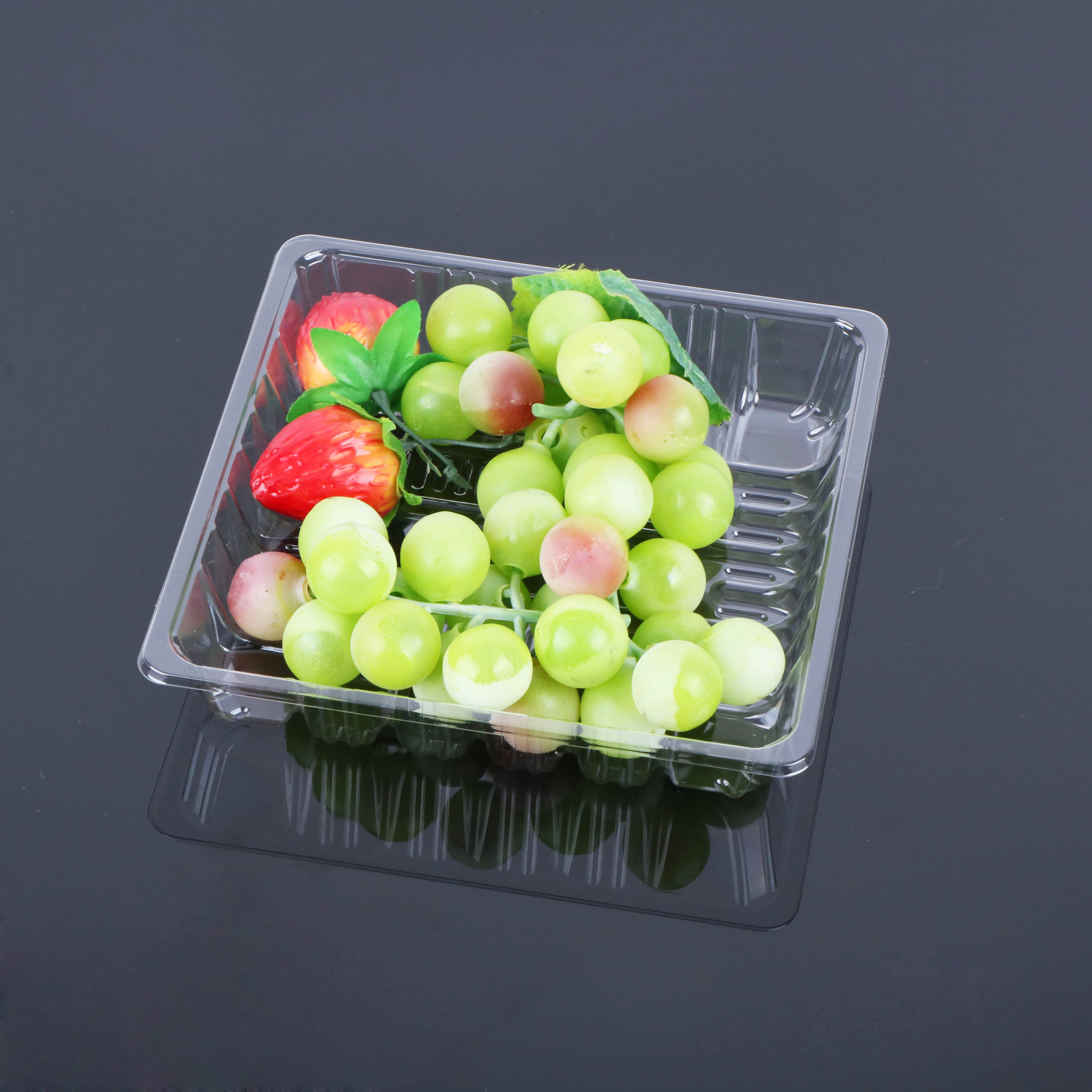 1616 Fresh Food Tray manufacture