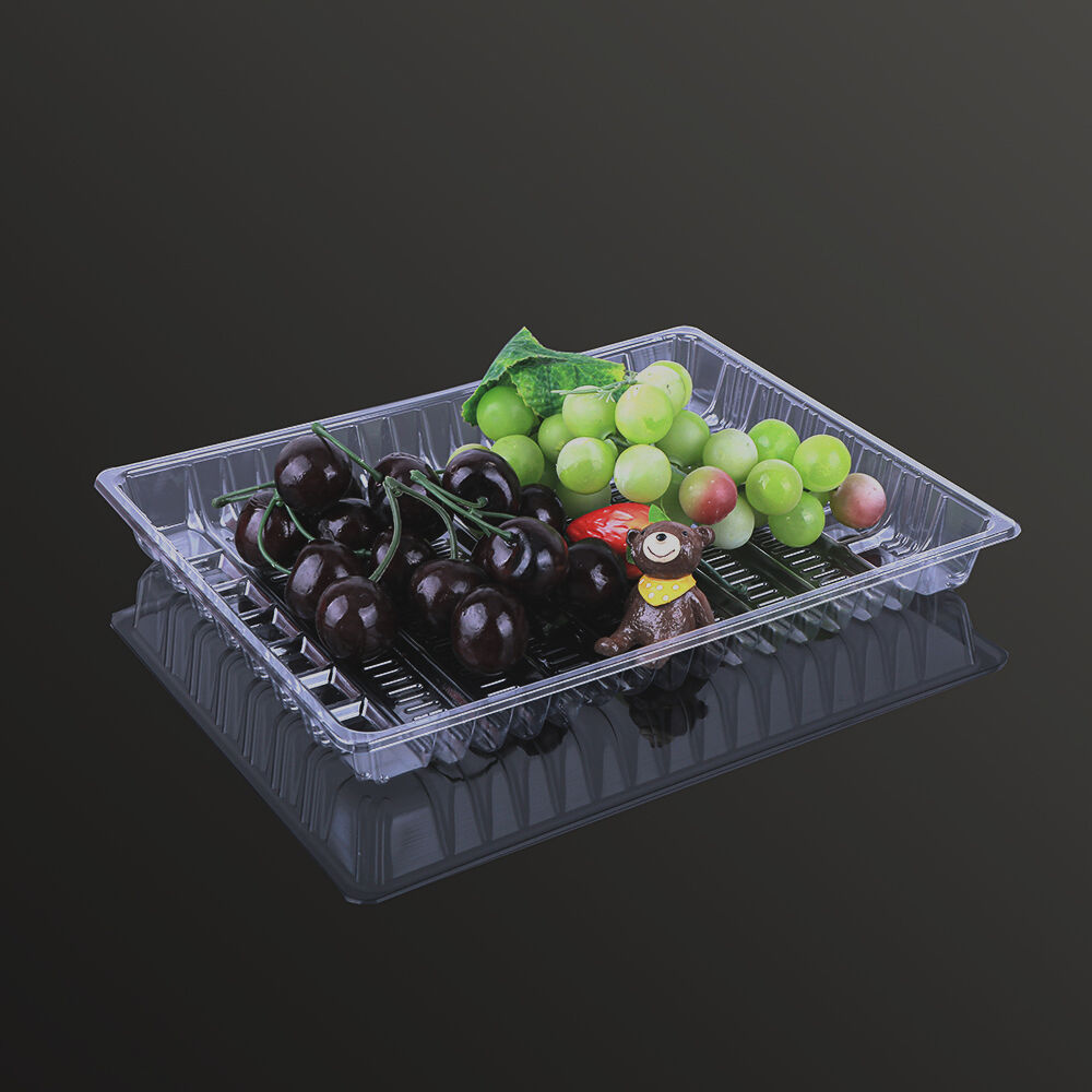 2721 Fresh Food Tray details