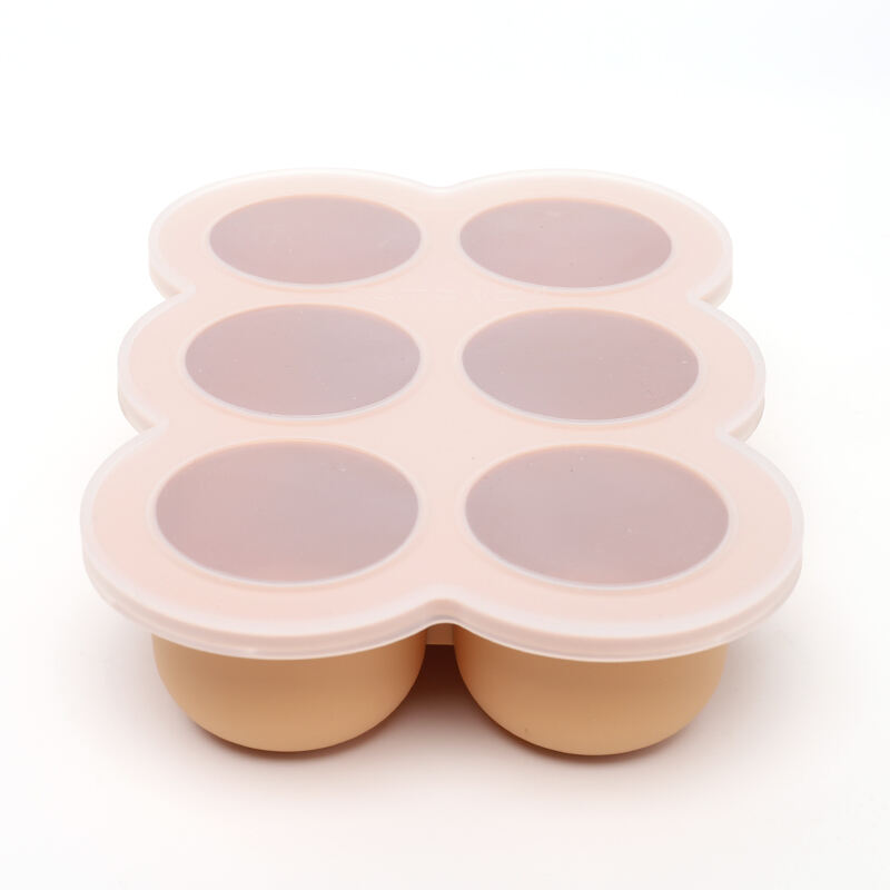 6 Pods Ice Food Tray