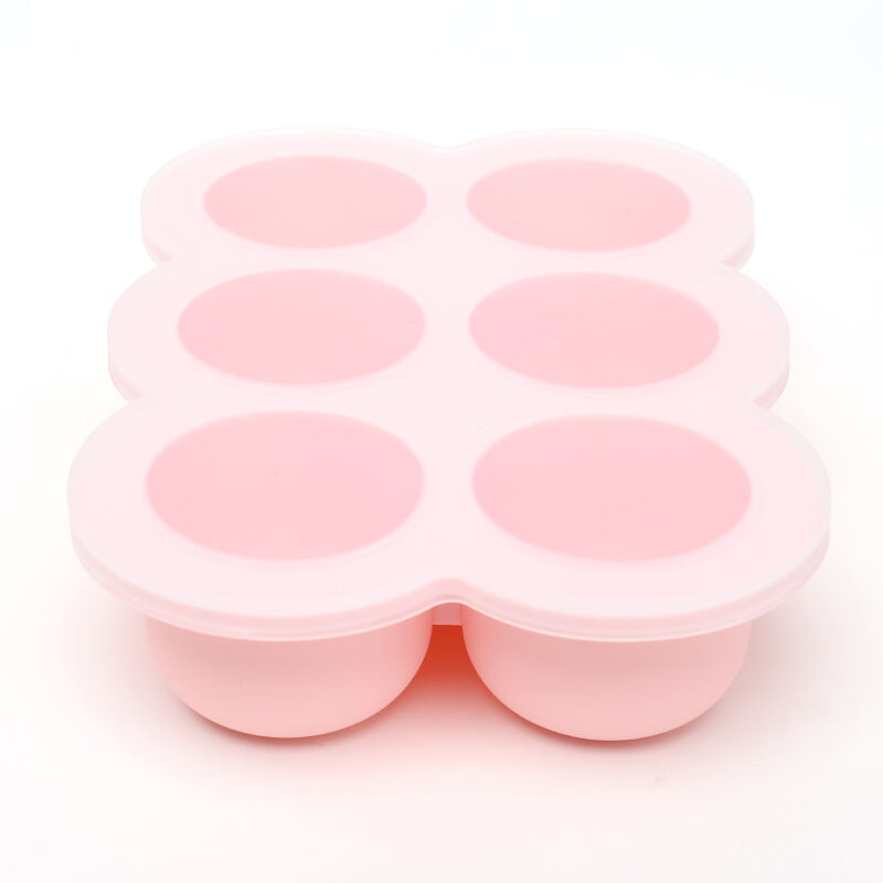 6 Pods Ice Food Tray