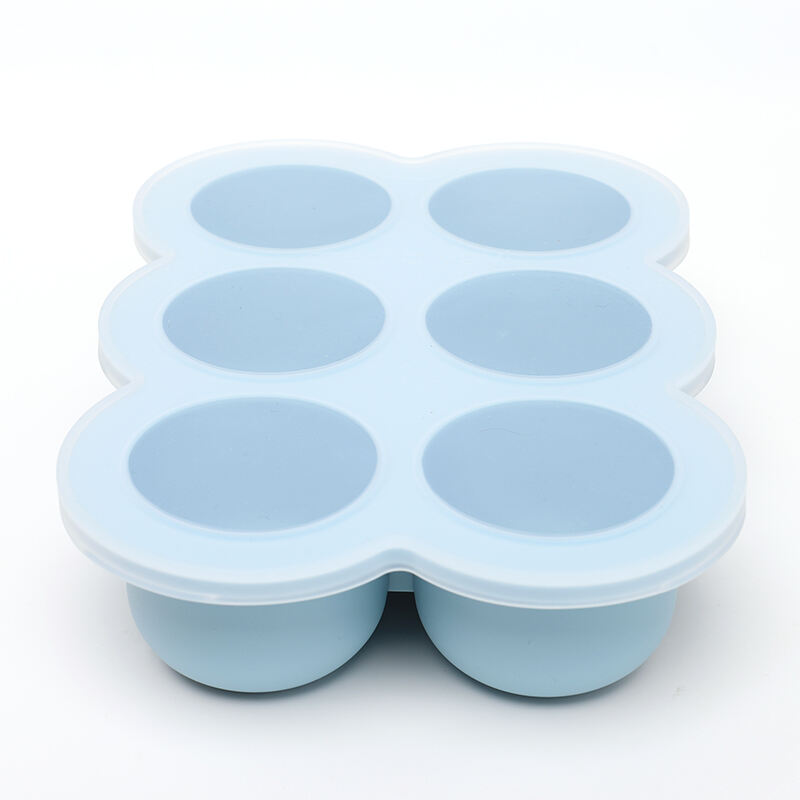 6 Pods Ice Food Tray