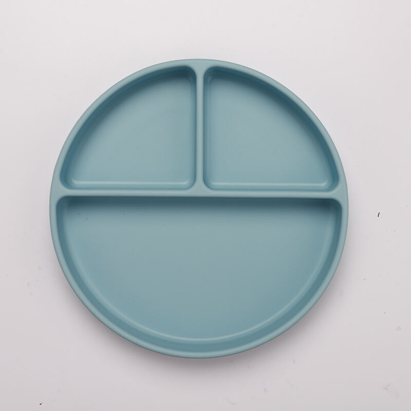 Plate with Suction