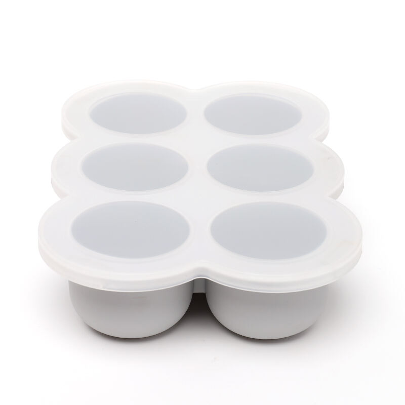 6 Pods Ice Food Tray