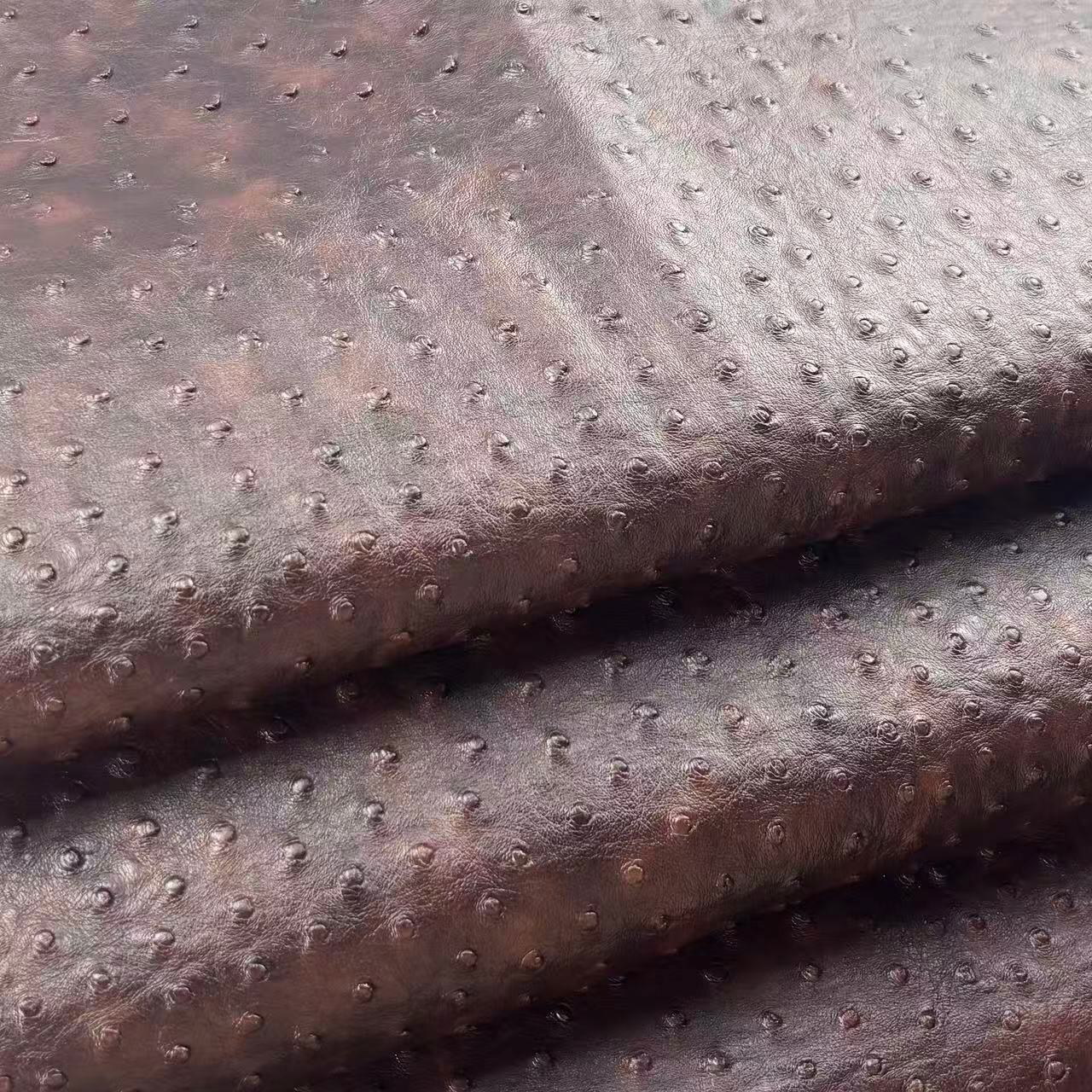  Premium Aesthetic Without Compromise