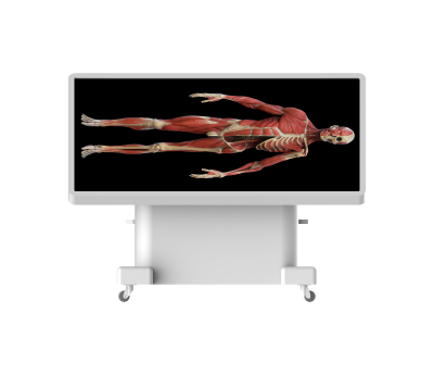 virtual dissection table classic-19