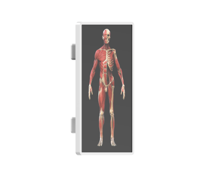 virtual dissection table classic-10