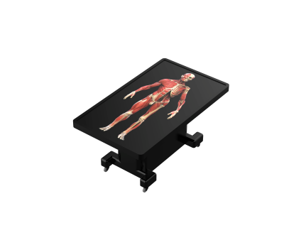 virtual dissection table classic-3