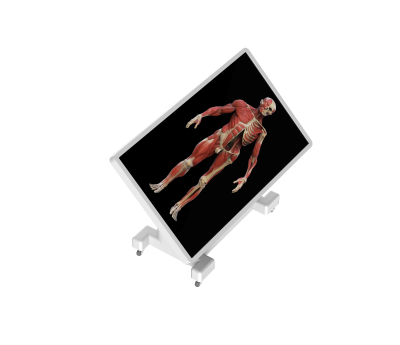 virtual dissection table classic-12