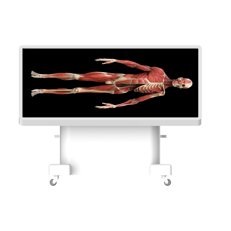 Virtual Dissection Table Classic