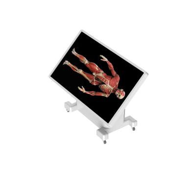 virtual dissection table classic-11