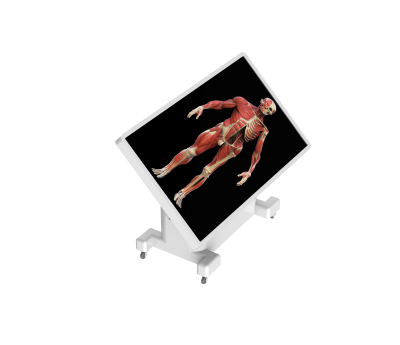 virtual dissection table classic-21