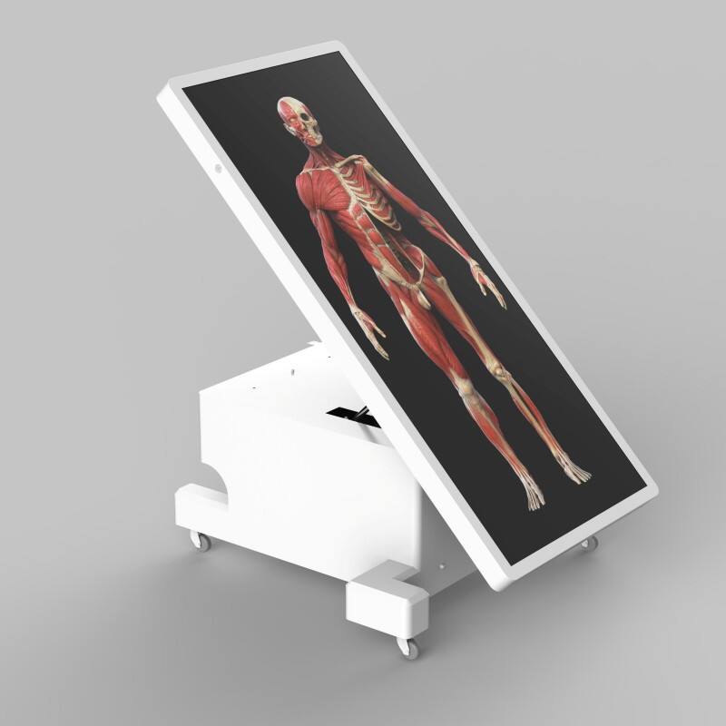 Virtual Dissection Table Vert