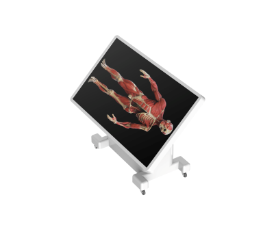 virtual dissection table classic-22