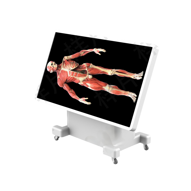 Virtual Dissection Table Classic
