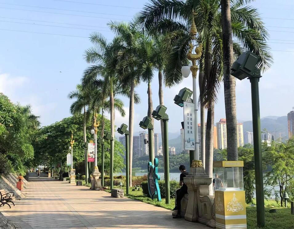 5000 Lumen Wind Cooling Ground Projection