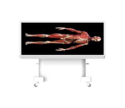 virtual dissection table classic-9