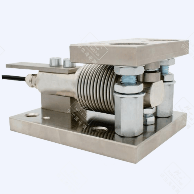 Weighing Module CZL810DM