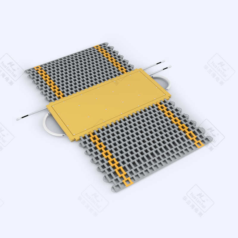 Portable Weighing Instrument BX101E4-20t