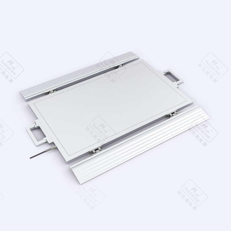 Portable Weighing Instrument BX101