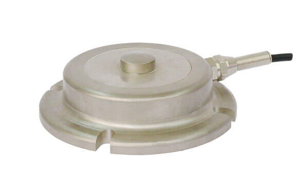 Real-Time Wireless Data Transmission and Analysis