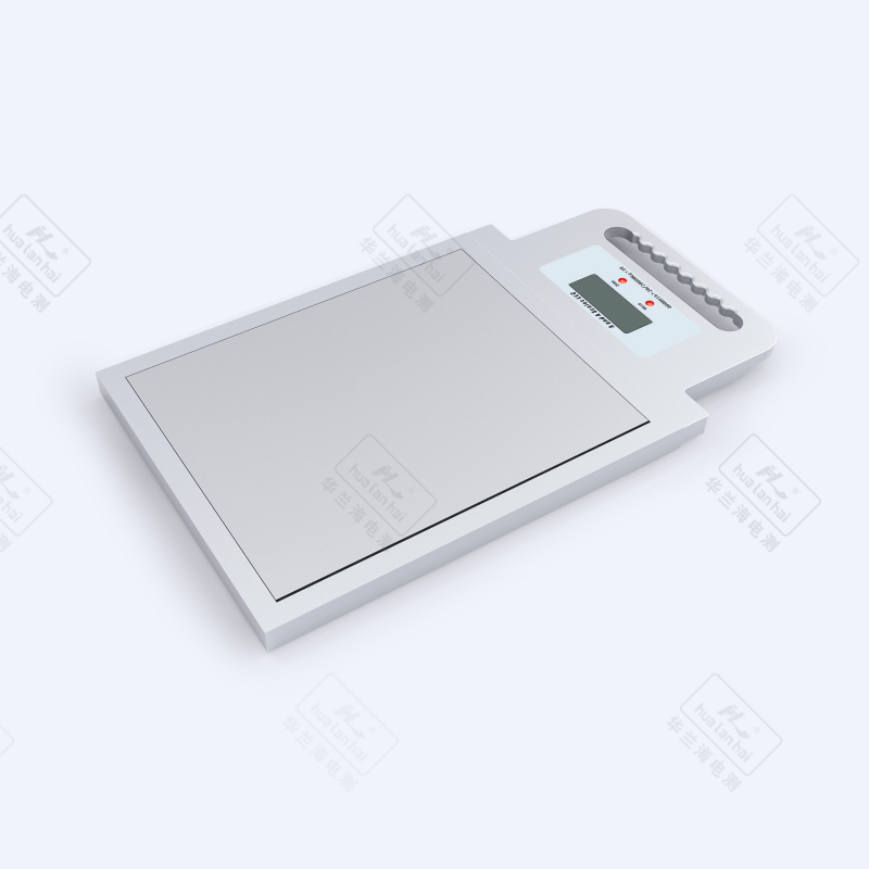 Portable Weighing Instrument BX101D-2t-5t-Y