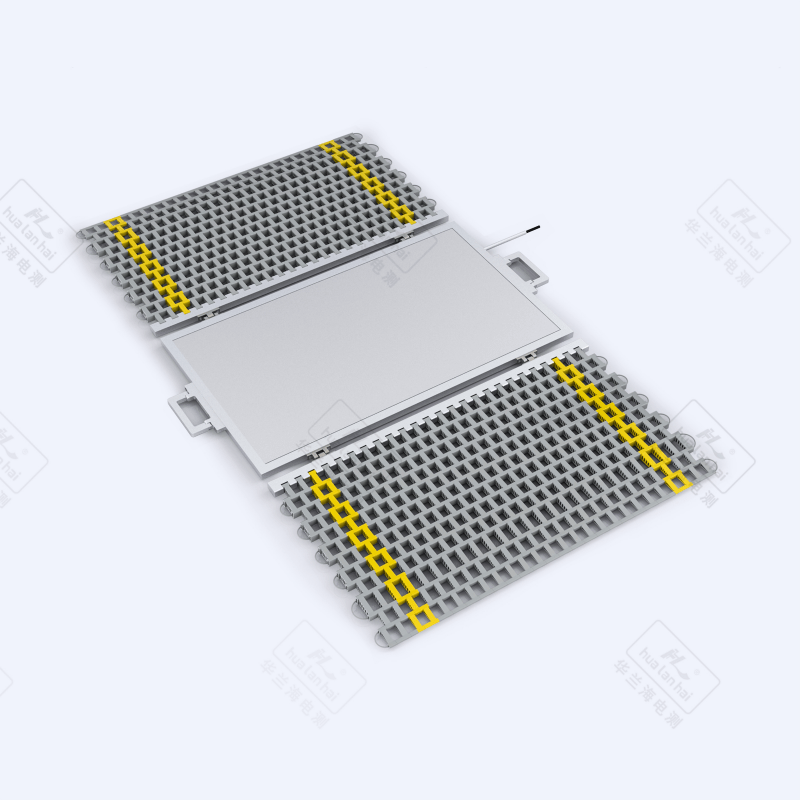 Portable Weighing Instrument BX101F-15t