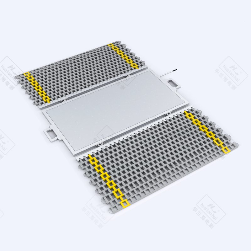 Portable Weighing Instrument BX101H-20t