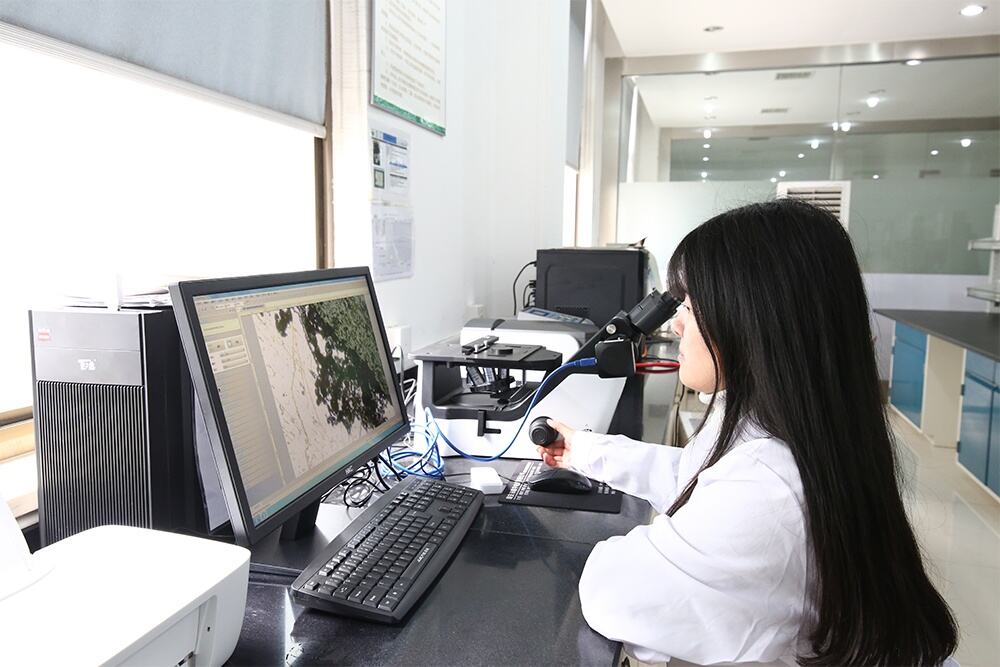 effective quotation evaluation considers quality certifications lead times and technical capabilities beyond price