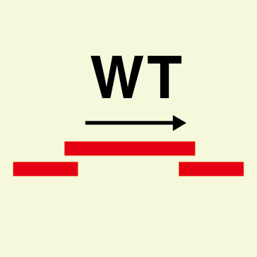 Illustrate (3).png