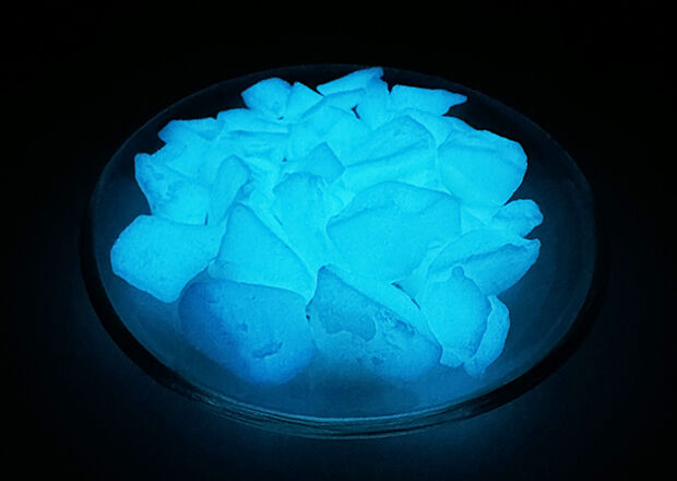 Environmental Sustainability