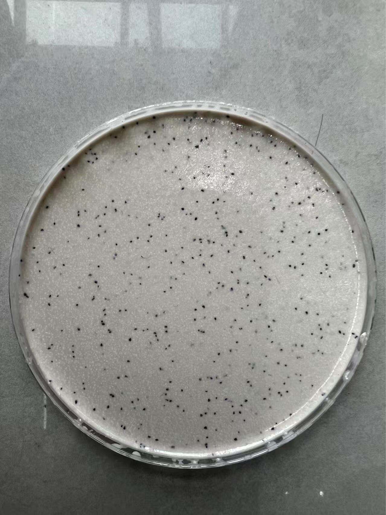 Aplicaciones versátiles y proceso de instalación sencillo