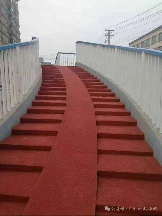 Excepcional Longevidad y Resistencia Climática