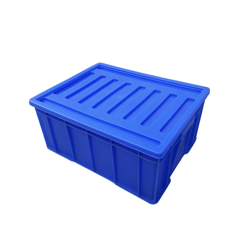 Vassoio per Cassetti degli Attrezzi – La Tua Soluzione Definitiva per un'Efficiente Archiviazione