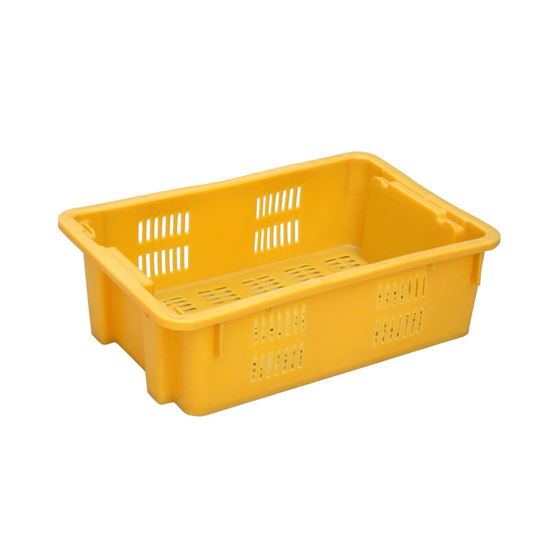 Scatole Premium per Alimenti per Ogni Esigenza