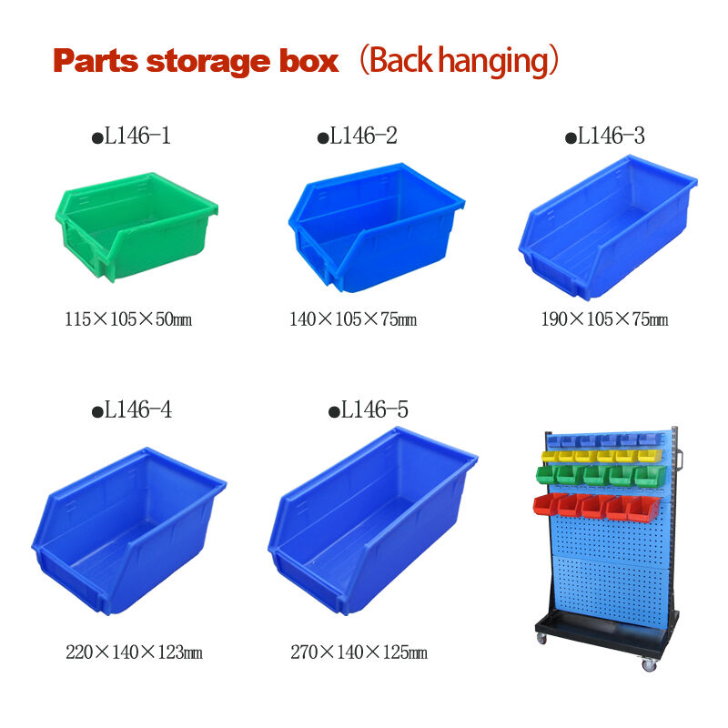 Comprehensive Support and Guidance