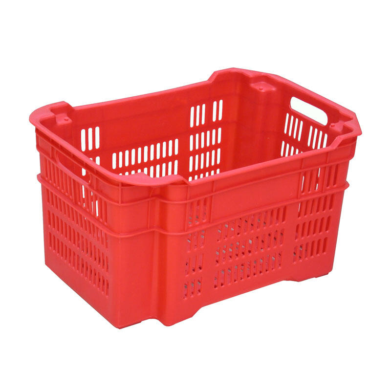 Solutions de caisses premium pour fruits et légumes