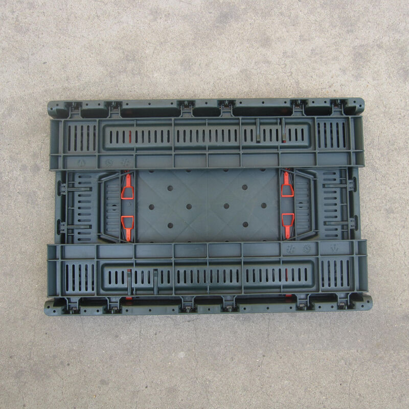 Innovative Design for Modern Logistics