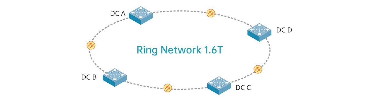 Ring network 1.6T .jpg