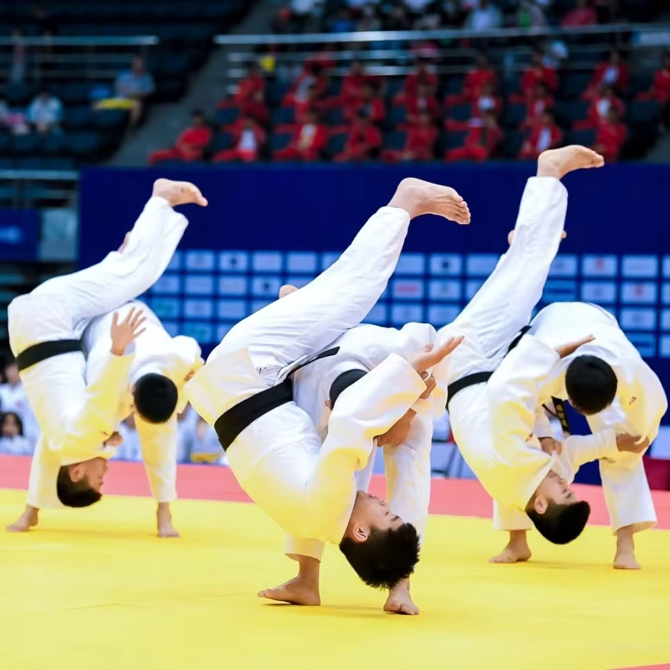 Hydefoam IJF Standard MMA Judo Tatami Mat 200x100x4cm 5cm Brazilian Jiu Jitsu Tatami Mat Foam Martial Arts Mats factory
