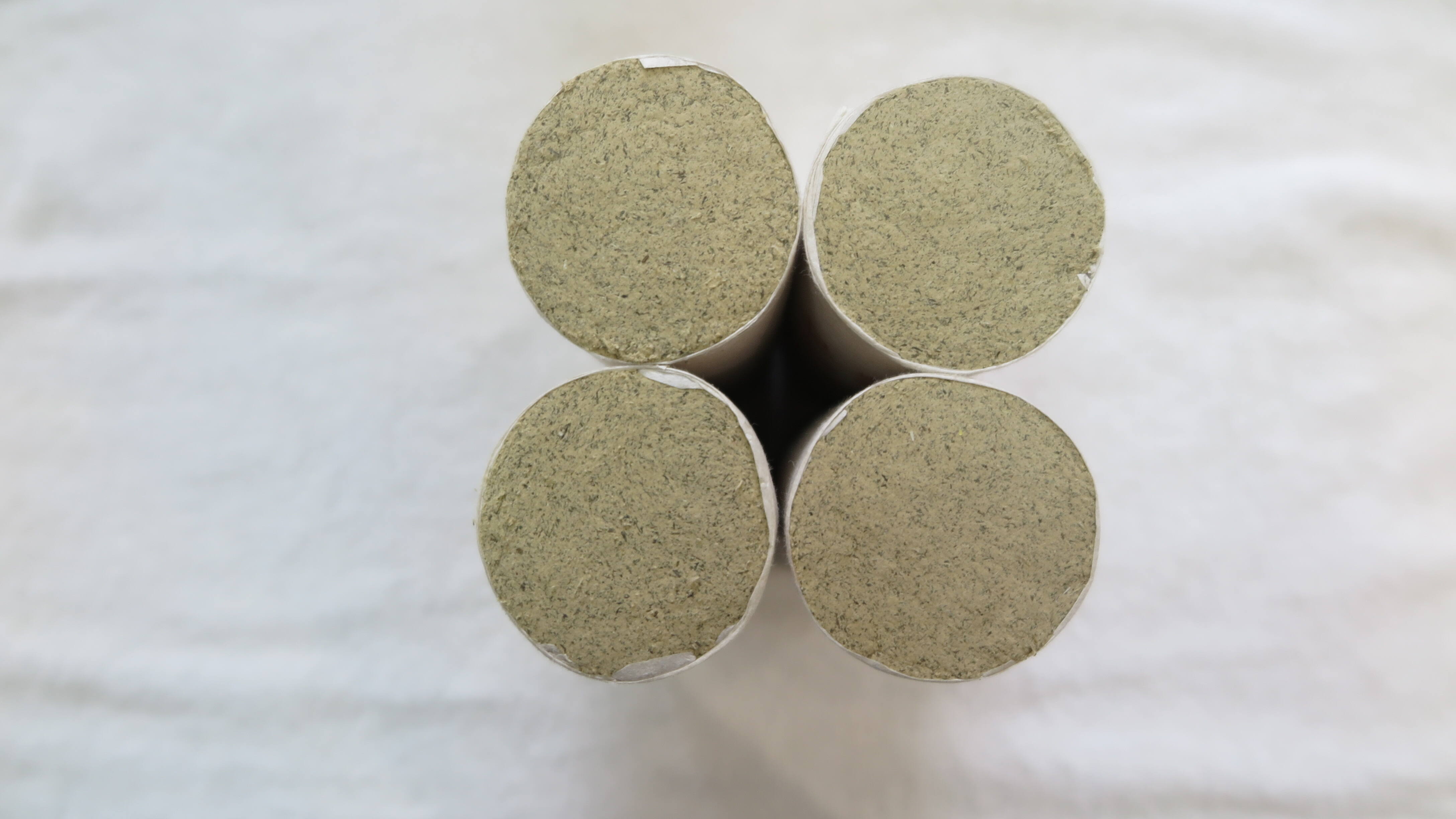 Débloquez le pouvoir de l'armoise pour améliorer vos rêves