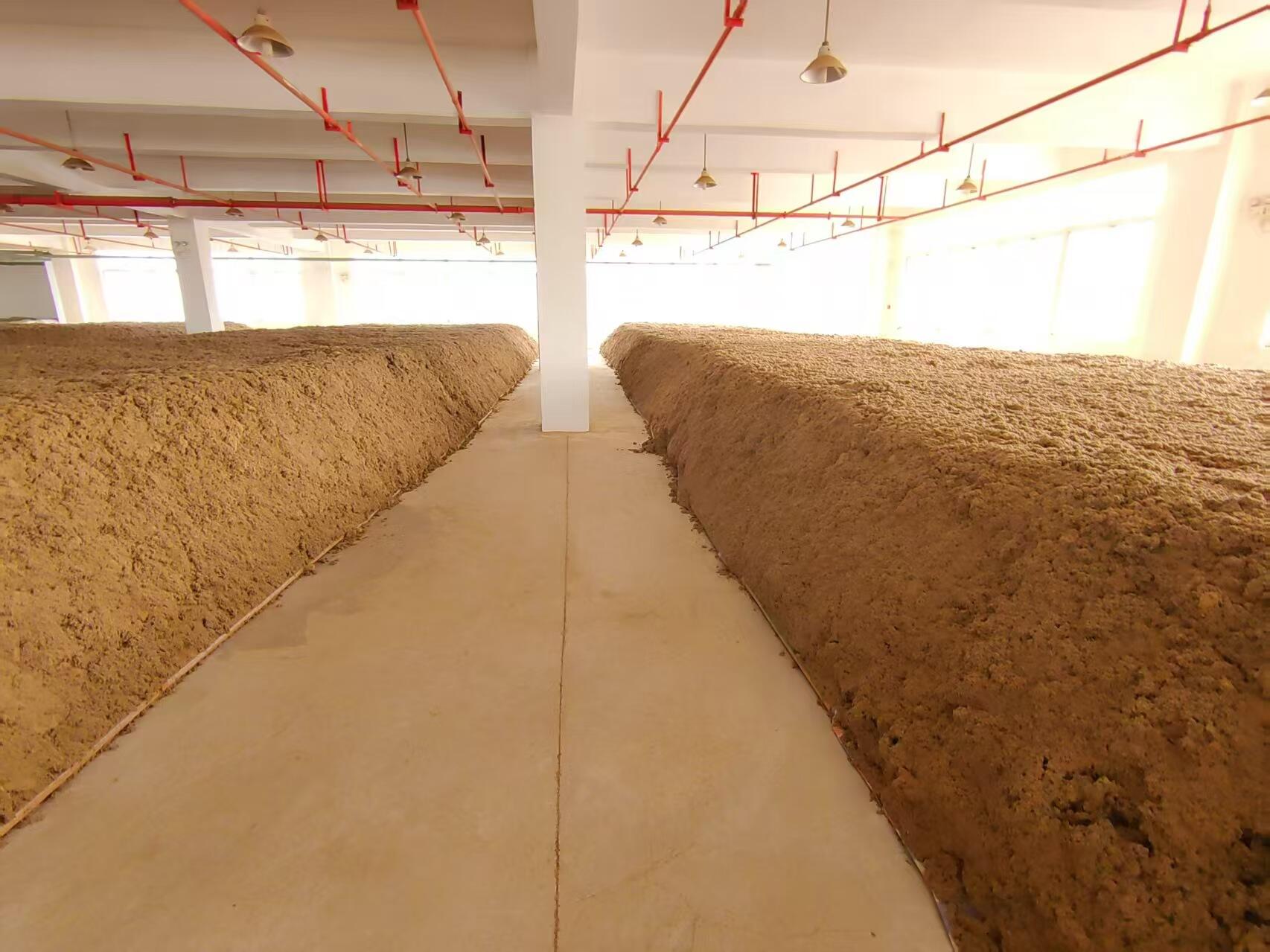 Sự Hoàn Hảo Được Chế Tác Thủ Công