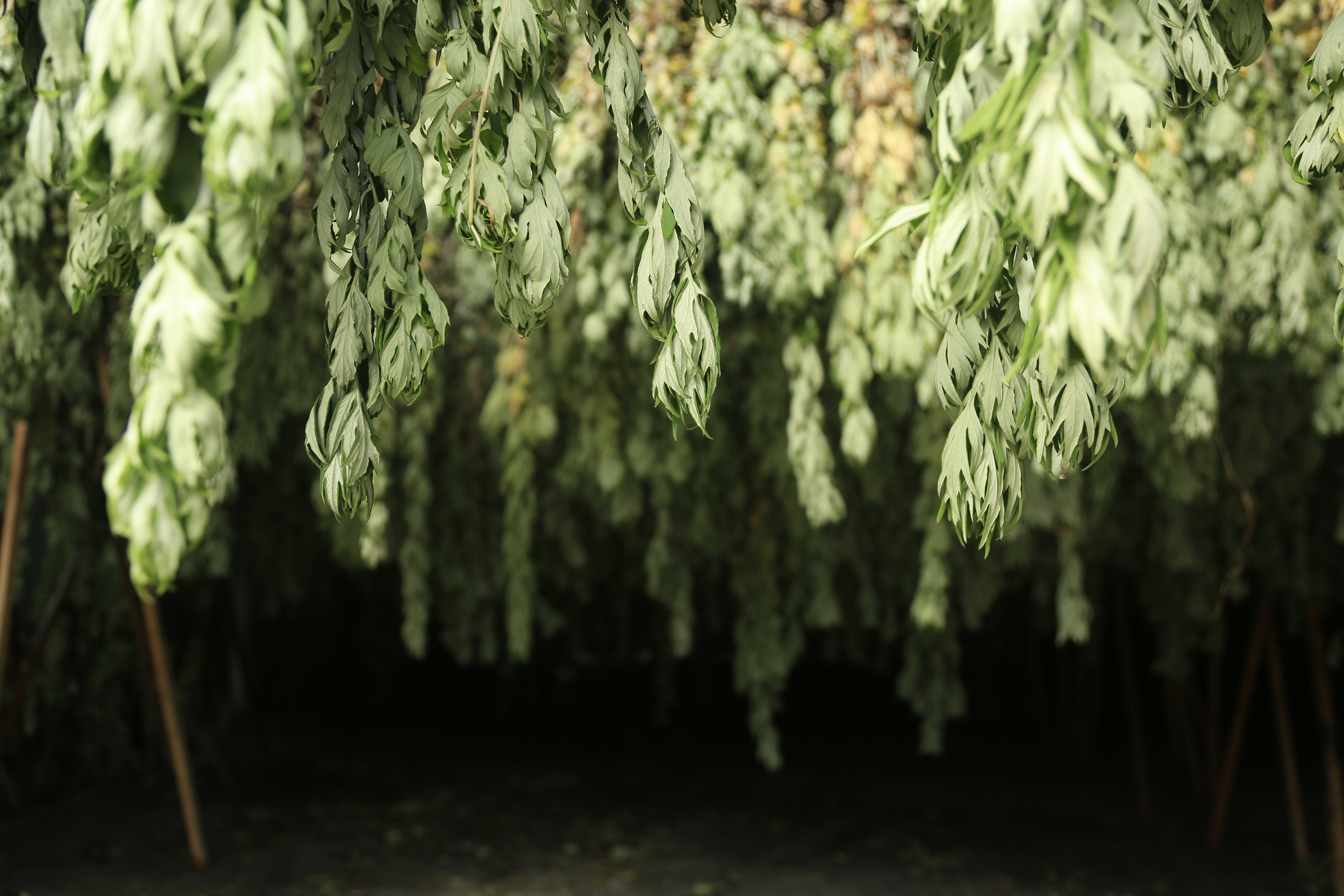 Assurance qualité premium