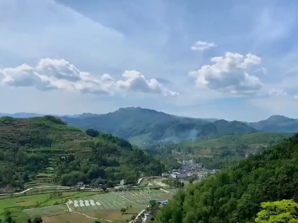 From Pure Fields, Wellness Begins