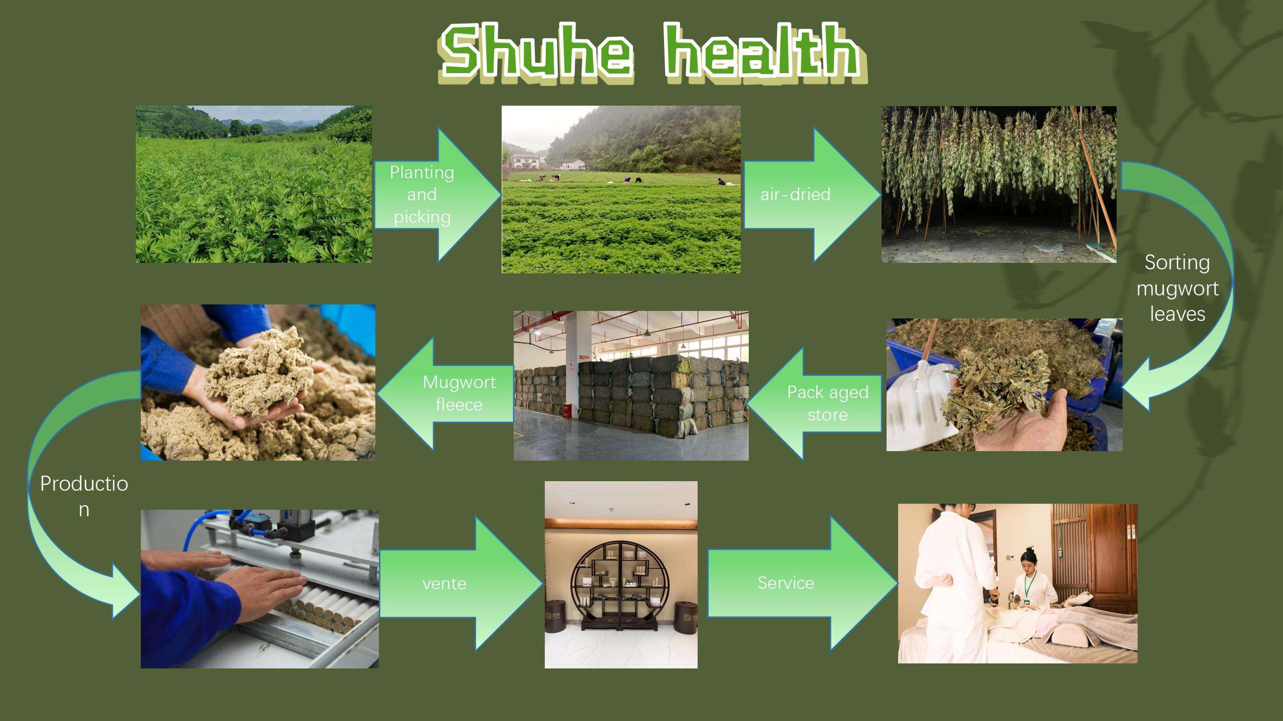 Experience the Benefits of Organic Moxibustion Moxa