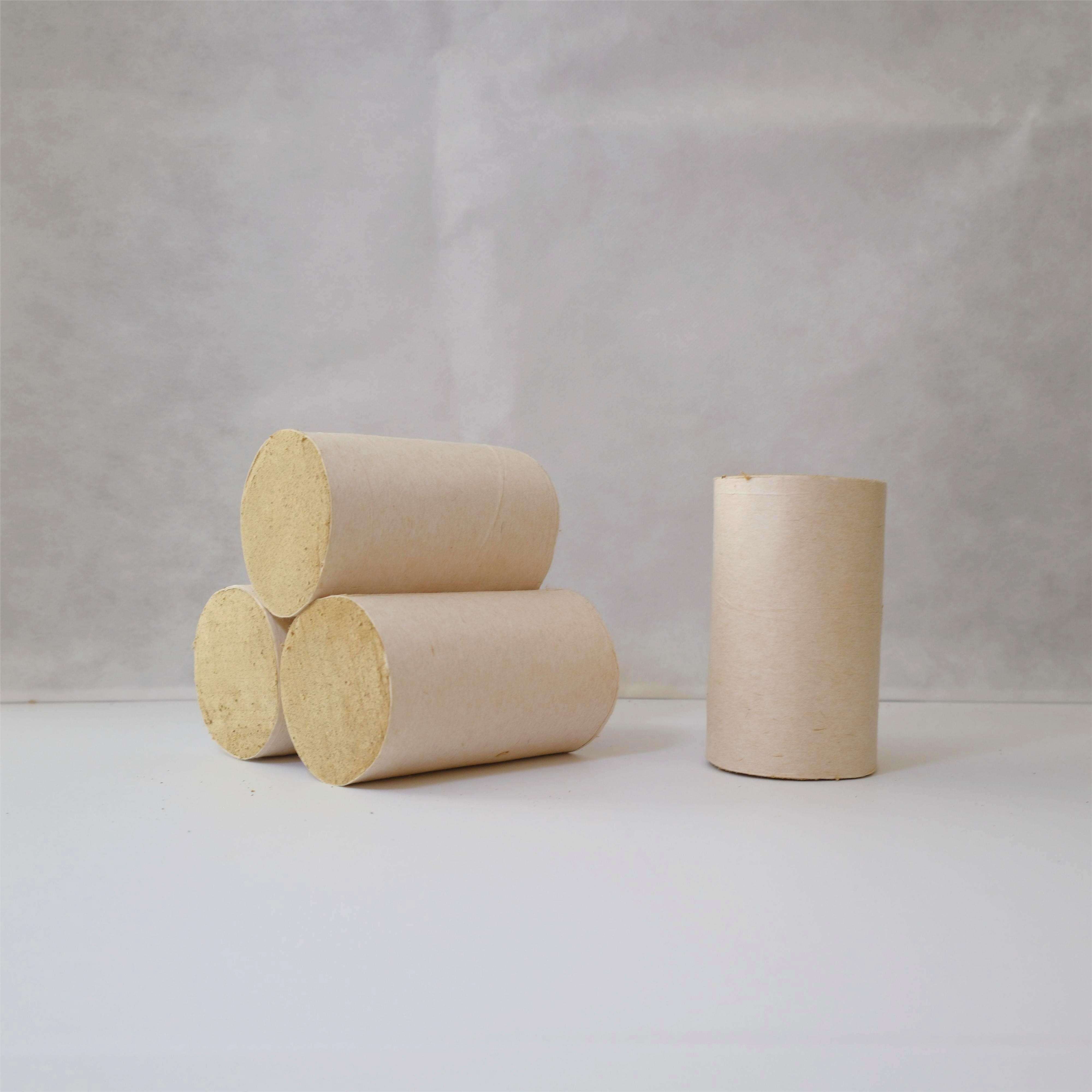 Débloquer le pouvoir curatif de l'armoise